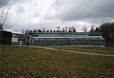 Botanischer Garten Ulm